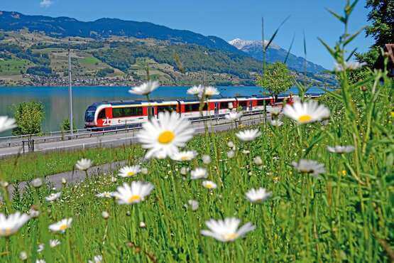 Brünig Express