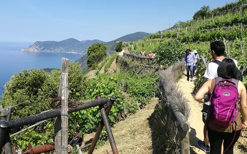 Hike along the coastline