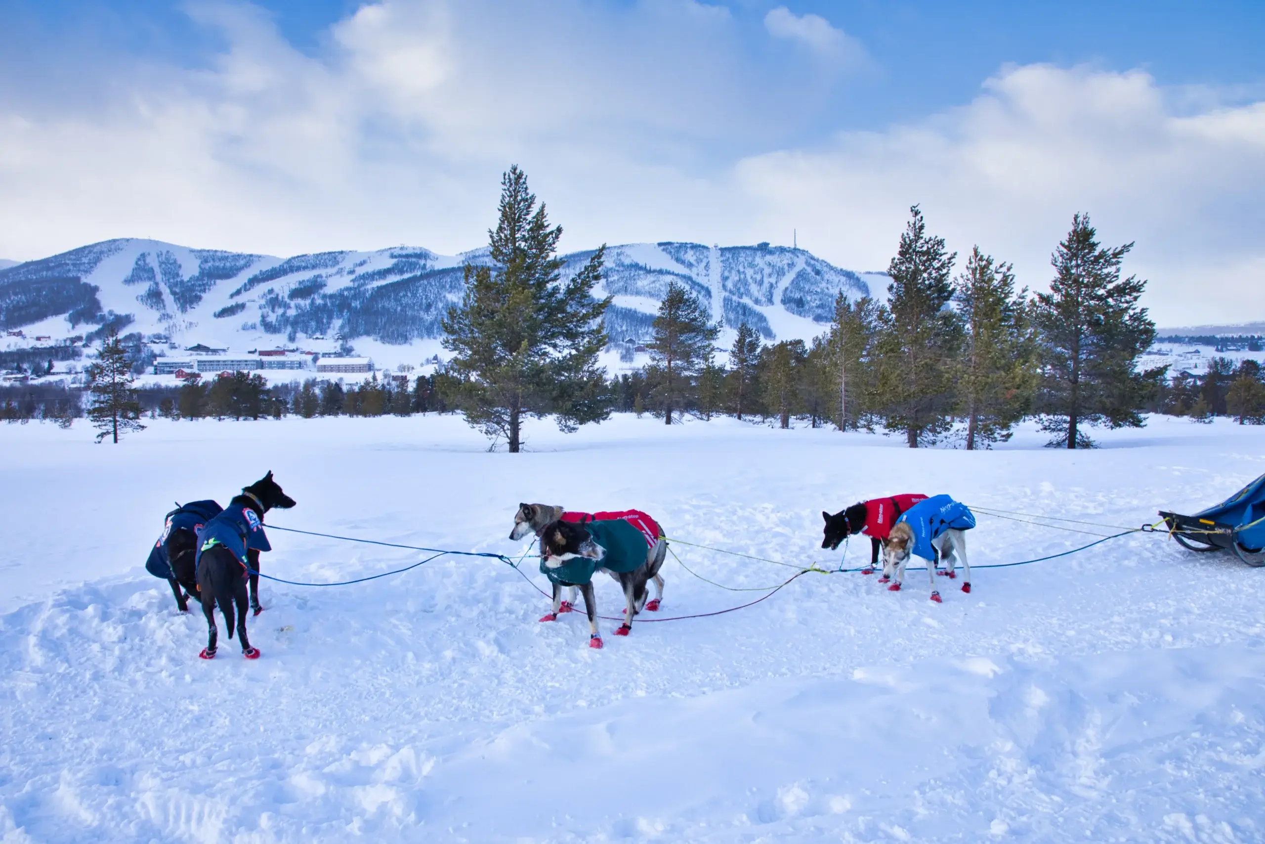 Flot Landskab i Geilo