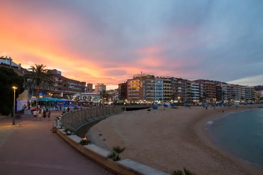 Gå en tur langs stranden