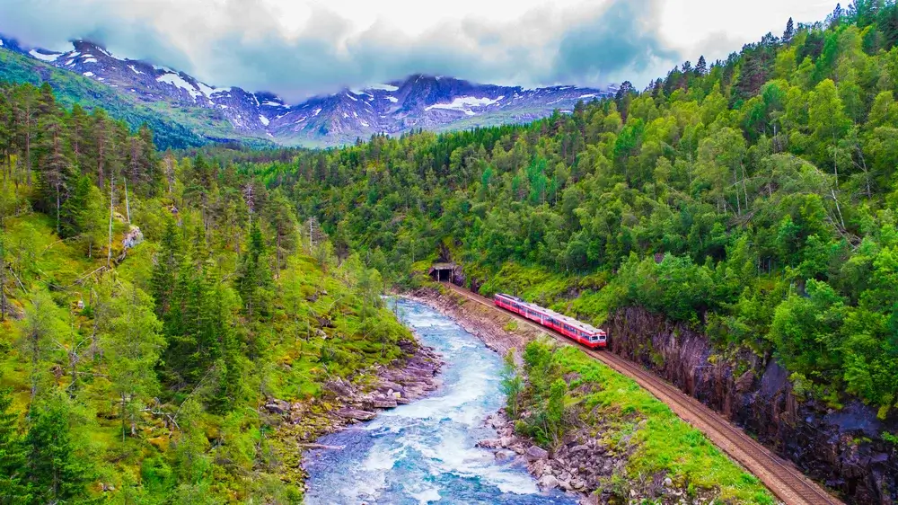 Ride the Bergen Railway (Bergensbanen)