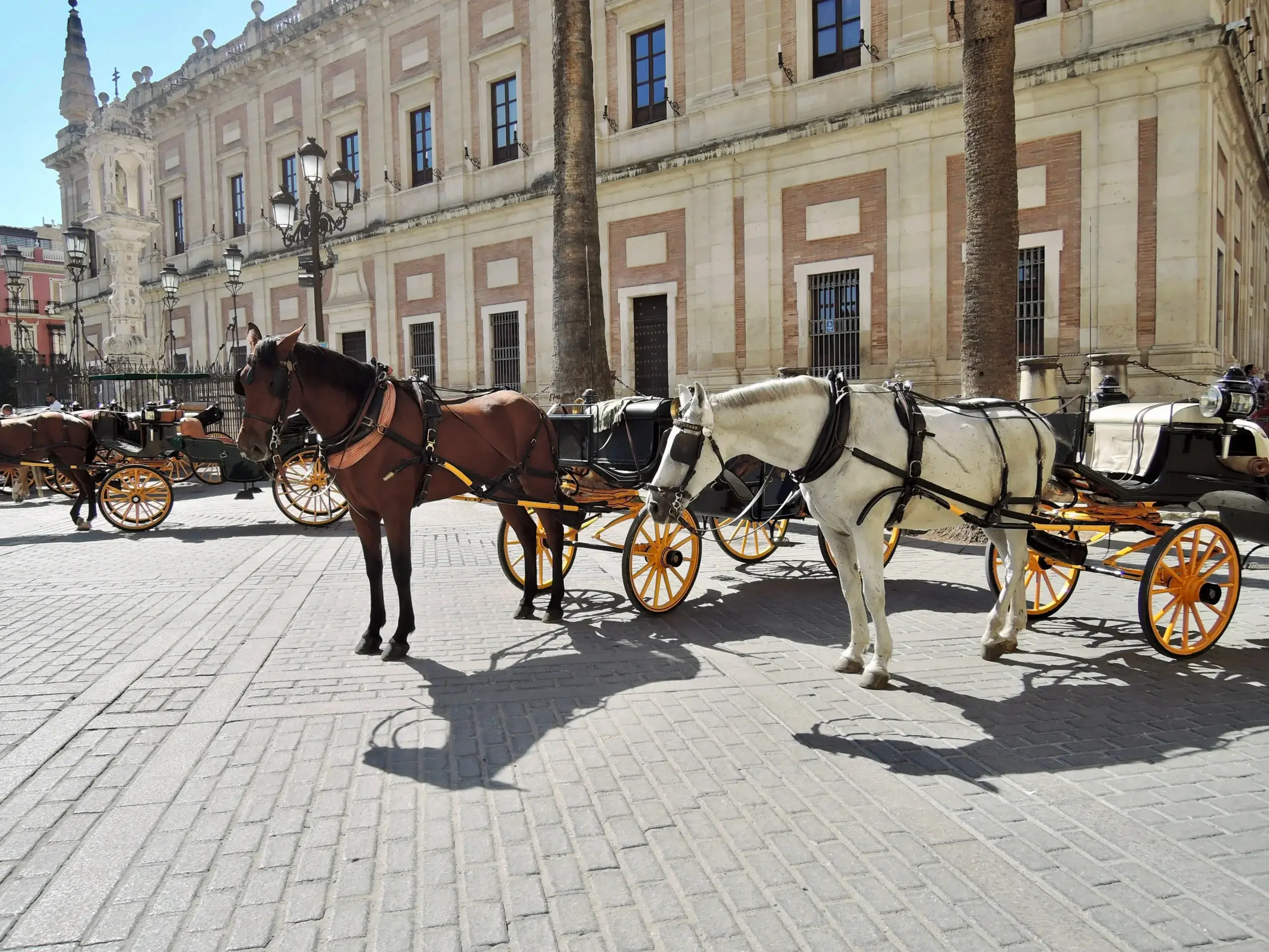 Take a ride in one of the city’s many horse-drawn carriages – a charming way to experience historic Seville.