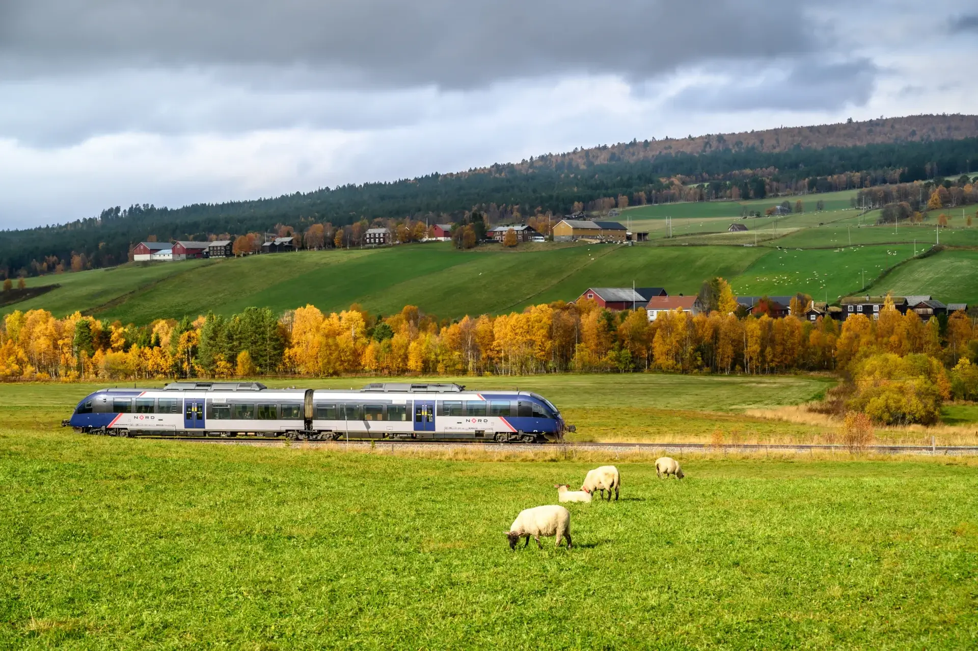 Rørosbanen